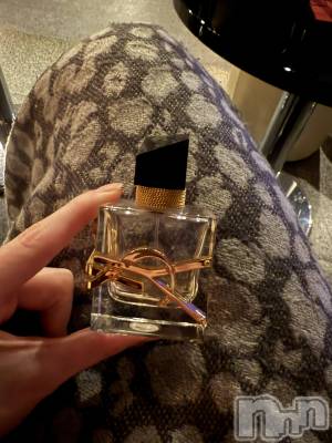 ĮХ顦֥ ץ ( ץ ) ߤ1030̥֥֡