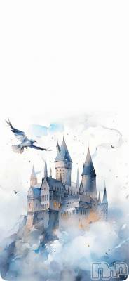 ĮХ顦֥ ץ ( ץ ) ߤ111̥֥֡