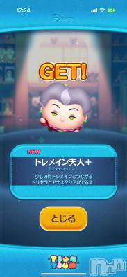 ĮХ顦֥ ץ ( ץ ) ߤ114̥֥֡