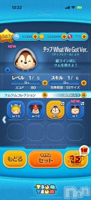 ĮХ顦֥ ץ ( ץ ) ߤ117̥֥֡