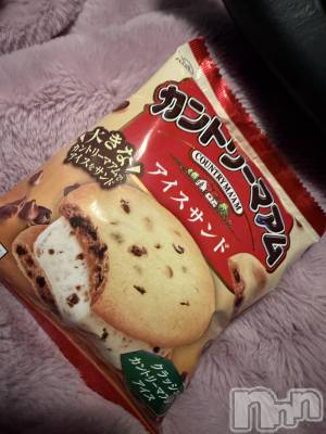 ĮХ顦֥ ץ ( ץ ) ߤ118̥֥֡