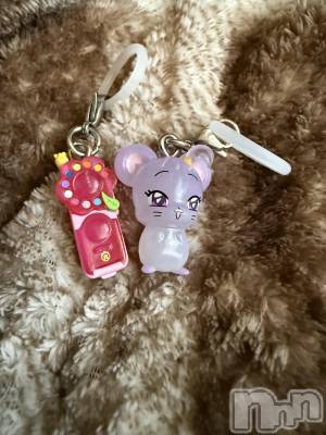 ĮХ顦֥ ץ ( ץ ) ߤ1112̥֥֡