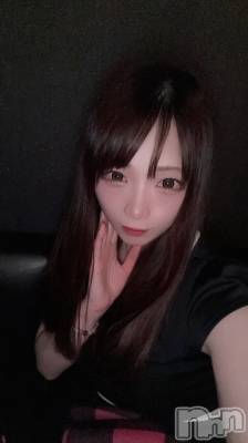 ĮХ顦֥ ץ ( ץ ) ߤ1114̥֥֡