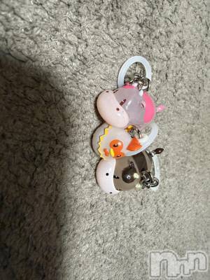 ĮХ顦֥ ץ ( ץ ) ߤ1118̥֥֡