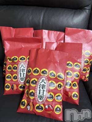 ĮХ顦֥ ץ ( ץ ) ߤ1120̥֥֡