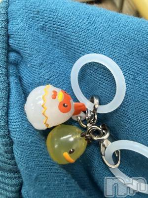 ĮХ顦֥ ץ ( ץ ) ߤ1120̥֥֡