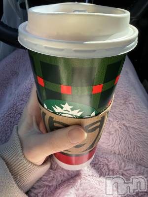 ĮХ顦֥ ץ ( ץ ) ߤ1122̥֥֡