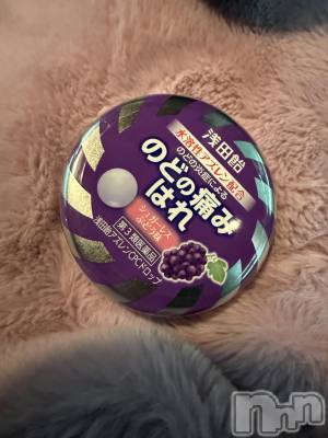 ĮХ顦֥ ץ ( ץ ) ߤ1123̥֥֡