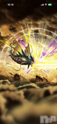 ĮХ顦֥ ץ ( ץ ) ߤ1126̥֥֡