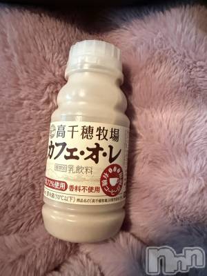 ĮХ顦֥ ץ ( ץ ) ߤ1127̥֥֡