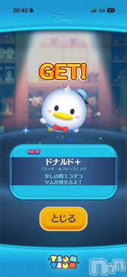 ĮХ顦֥ ץ ( ץ ) ߤ1127̥֥֡