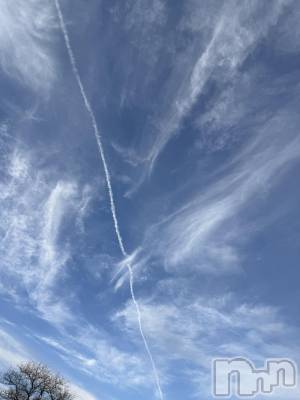 ĮХ顦֥ ץ ( ץ ) ߤ1128̥֥֡