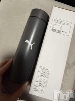 ĮХ顦֥ ץ ( ץ ) ߤ1130̥֥֡