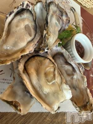 ĮХ顦֥ ץ ( ץ ) ߤ121̥֥֡