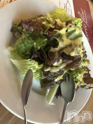 ĮХ顦֥ ץ ( ץ ) ߤ121̥֥֡