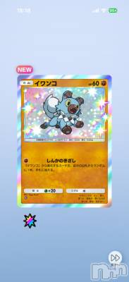 ĮХ顦֥ ץ ( ץ ) ߤ122̥֥֡