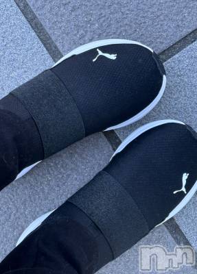 ĮХ顦֥ ץ ( ץ ) ߤ123̥֥֡