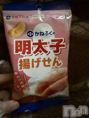 ĮХ顦֥ ץ ( ץ ) ߤ124̥֥֡