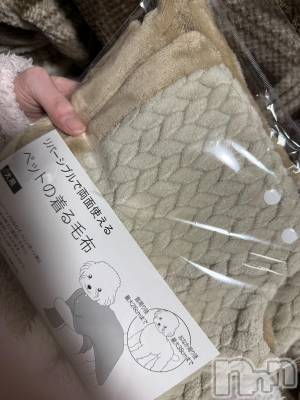 ĮХ顦֥ ץ ( ץ ) ߤ124̥֥֡