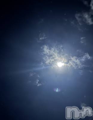 ĮХ顦֥ ץ ( ץ ) ߤ125̥֥֡