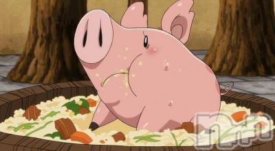 ĮХ顦֥ ץ ( ץ ) ߤ129̥֥֡