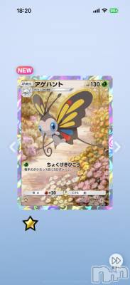 ĮХ顦֥ ץ ( ץ ) ߤ1210̥֥֡