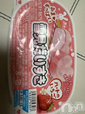 ��Į����Х��顦����֥���� �ץ���� ����(����� �ץ���� ������) ���ߤ���12��13���̥�֥����֡���