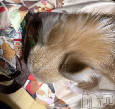 ��Į����Х��顦����֥���� �ץ���� ����(����� �ץ���� ������) ���ߤ���12��17���̥�֥����֡���