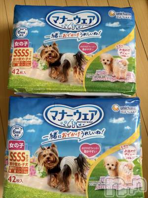 ��Į����Х��顦����֥���� �ץ���� ����(����� �ץ���� ������) ���ߤ���12��20���̥�֥����֡���