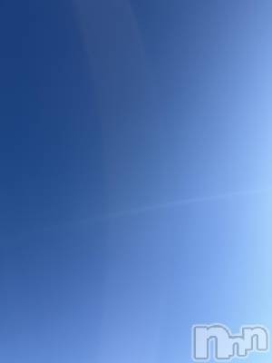 ��Į����Х��顦����֥���� �ץ���� ����(����� �ץ���� ������) ���ߤ���12��20���̥�֥����֡���