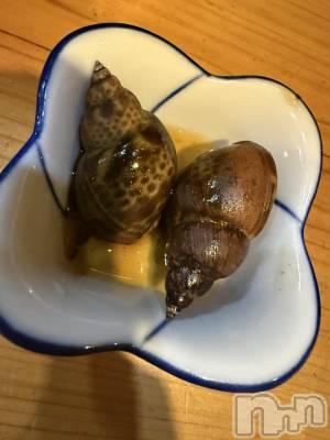 ��Į����Х��顦����֥���� �ץ���� ����(����� �ץ���� ������) ���ߤ���12��21���̥�֥����֡���