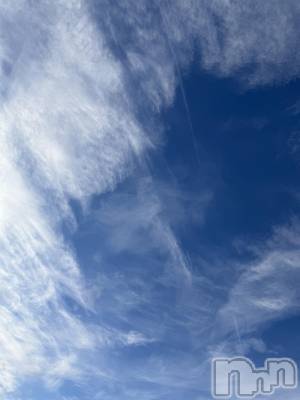 ��Į����Х��顦����֥���� �ץ���� ����(����� �ץ���� ������) ���ߤ���1��2���̥�֥����֡���