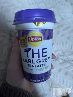 ��Į����Х��顦����֥���� �ץ���� ����(����� �ץ���� ������) ���ߤ���1��2���̥�֥����֡���