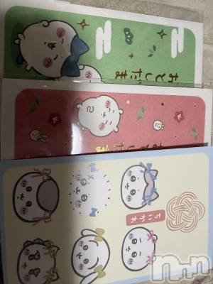 ��Į����Х��顦����֥���� �ץ���� ����(����� �ץ���� ������) ���ߤ���1��3���̥�֥����֡���