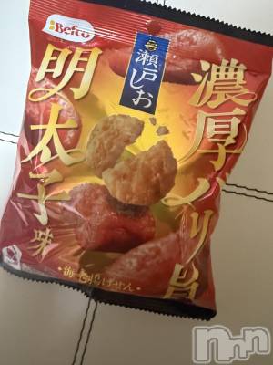 ��Į����Х��顦����֥���� �ץ���� ����(����� �ץ���� ������) ���ߤ���1��4���̥�֥����֡���