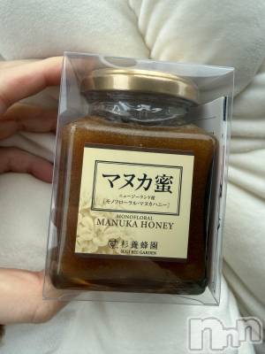 ��Į����Х��顦����֥���� �ץ���� ����(����� �ץ���� ������) ���ߤ���1��5���̥�֥����֡���