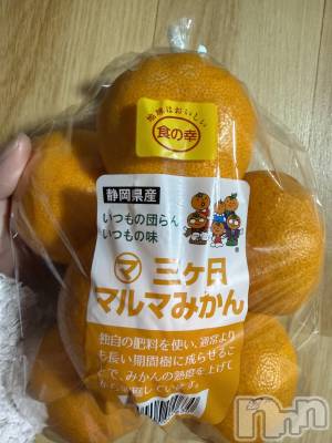 ��Į����Х��顦����֥���� �ץ���� ����(����� �ץ���� ������) ���ߤ���1��7���̥�֥����֡���