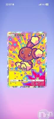 ��Į����Х��顦����֥���� �ץ���� ����(����� �ץ���� ������) ���ߤ���1��11���̥�֥����֡���