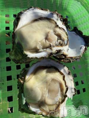 ��Į����Х��顦����֥���� �ץ���� ����(����� �ץ���� ������) ���ߤ���1��15���̥�֥����֡���