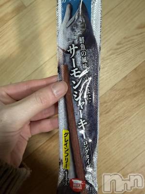 ��Į����Х��顦����֥���� �ץ���� ����(����� �ץ���� ������) ���ߤ���1��16���̥�֥����֡���