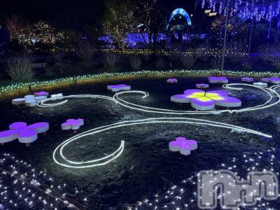 ��Į����Х��顦����֥���� �ץ���� ����(����� �ץ���� ������) ���ߤ���1��19���̥�֥����֡���