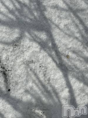 ��Į����Х��顦����֥���� �ץ���� ����(����� �ץ���� ������) ���ߤ���1��22���̥�֥����֡���