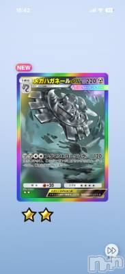 ��Į����Х��顦����֥���� �ץ���� ����(����� �ץ���� ������) ���ߤ���1��24���̥�֥����֡���