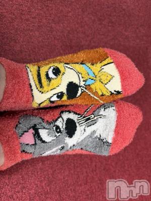 ��Į����Х��顦����֥���� �ץ���� ����(����� �ץ���� ������) ���ߤ���1��29���̥�֥����֡���