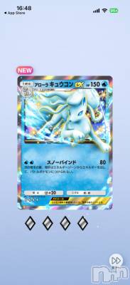 ��Į����Х��顦����֥���� �ץ���� ����(����� �ץ���� ������) ���ߤ���1��31���̥�֥����֡���