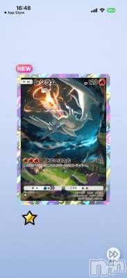 ��Į����Х��顦����֥���� �ץ���� ����(����� �ץ���� ������) ���ߤ���2��1���̥�֥����֡���