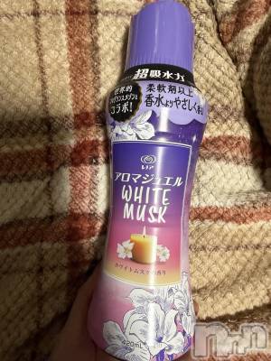 ��Į����Х��顦����֥���� �ץ���� ����(����� �ץ���� ������) ���ߤ���2��3���̥�֥����֡���