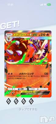 ��Į����Х��顦����֥���� �ץ���� ����(����� �ץ���� ������) ���ߤ���2��3���̥�֥����֡���