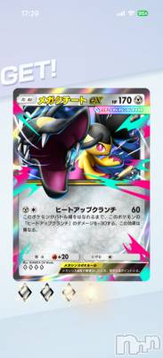 ��Į����Х��顦����֥���� �ץ���� ����(����� �ץ���� ������) ���ߤ���2��4���̥�֥����֡���