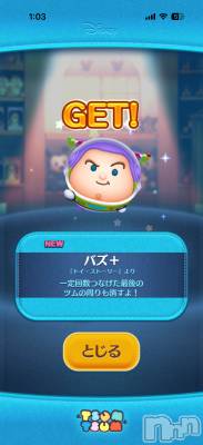 ��Į����Х��顦����֥���� �ץ���� ����(����� �ץ���� ������) ���ߤ���2��6���̥�֥����֡���